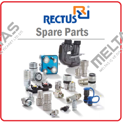 Rectus (Parker)