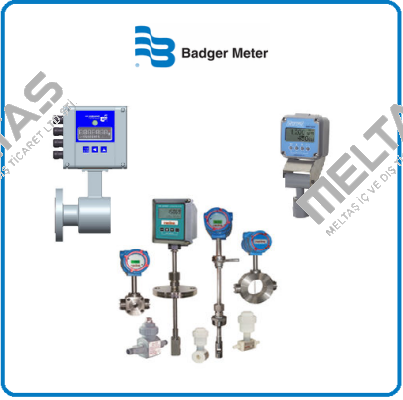 Badger Meter