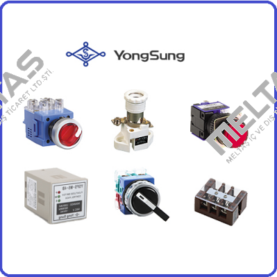 YongSung Electric