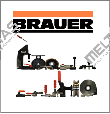 Brauer