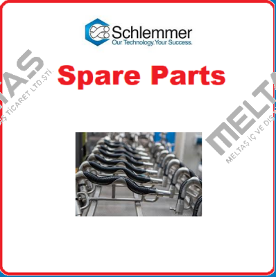 Schlemmer