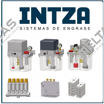 Intza
