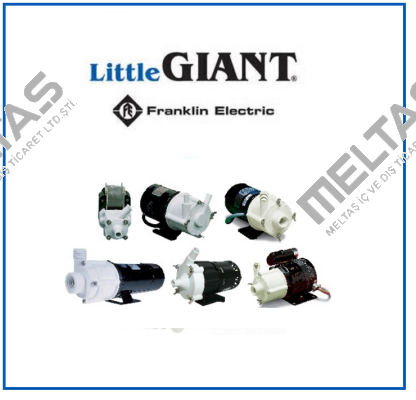 Little Giant