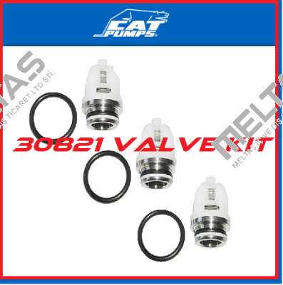 30821 Cat Pumps