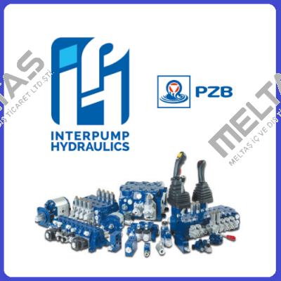 3111004301   Pzb