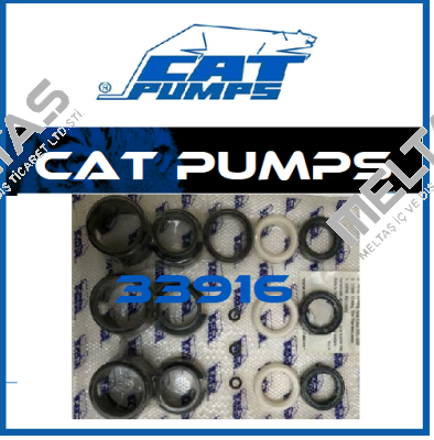 33916 Cat Pumps