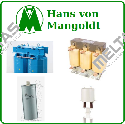 3UI114/62  Hans von Mangoldt