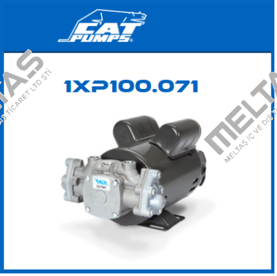 1XP100.071 Cat Pumps