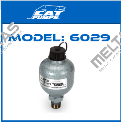 Model: 6029 Cat Pumps