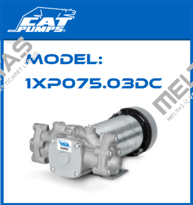 Model: 1XP075.03DC Cat Pumps