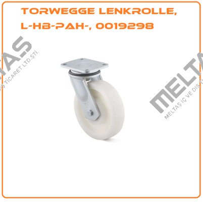 0019298 Torwegge
