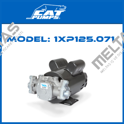 1XP125.071 Cat Pumps