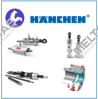 Dichtungsset Hanchen