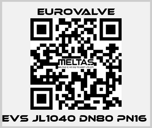 EVS JL1040 DN80 PN16  Eurovalve
