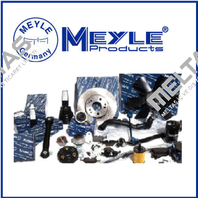 1130110036 OIL PUMP  Meyle