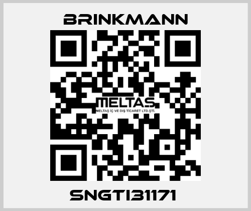 SNGTI31171  Brinkmann
