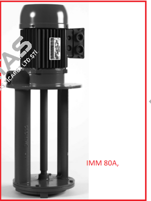 YT80IMAAA2505 Sacemi