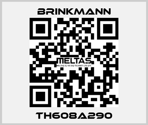 TH608A290 Brinkmann