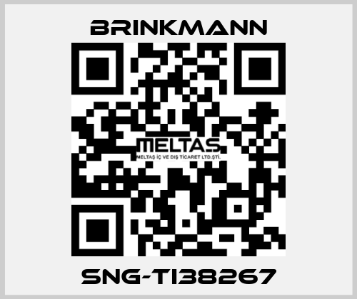 SNG-TI38267 Brinkmann