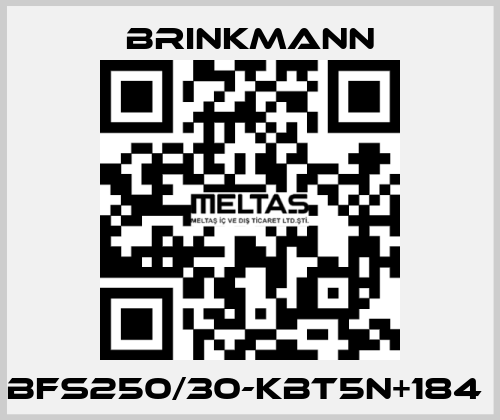 BFS250/30-KBT5N+184  Brinkmann