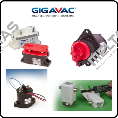 G81A 019 OEM Gigavac