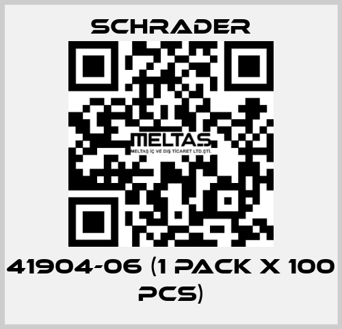 41904-06 (1 pack x 100 pcs) Schrader