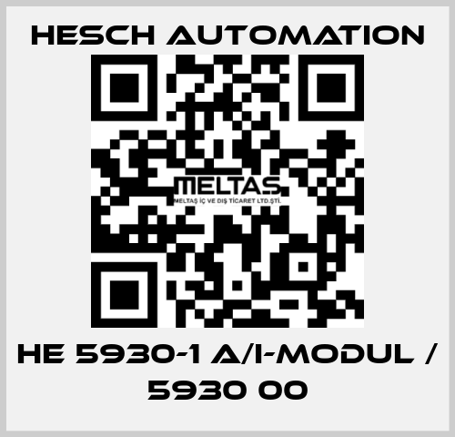 HE 5930-1 A/I-Modul / 5930 00 Hesch Automation