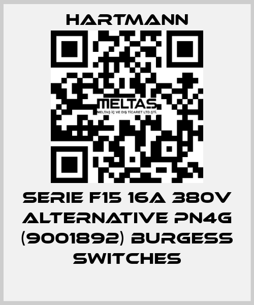 SERIE F15 16A 380V ALTERNATIVE PN4G (9001892) Burgess switches Hartmann