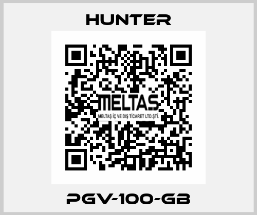 PGV-100-GB Hunter