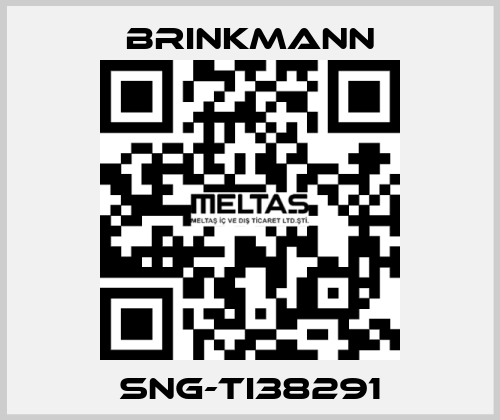 SNG-TI38291 Brinkmann