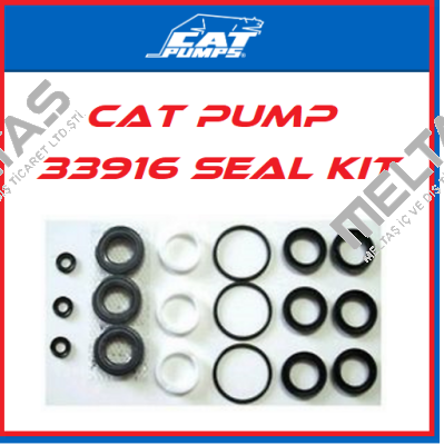 33916 Cat Pumps