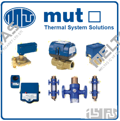 Type: SFS 230 M1 G 1/4" IP 40 Mut Meccanica Tovo SpA