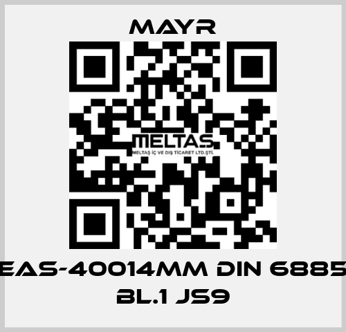 EAS-40014MM DIN 6885 BL.1 JS9 Mayr
