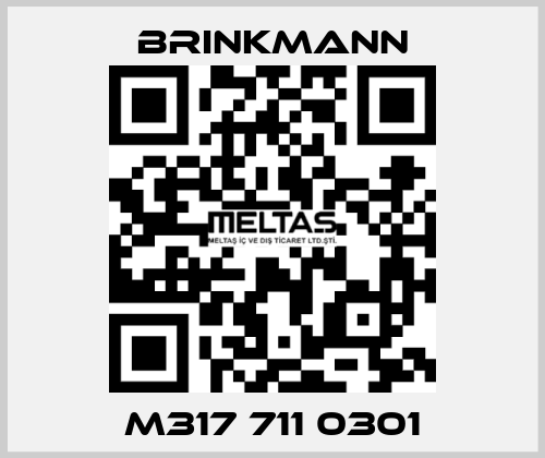 M317 711 0301 Brinkmann