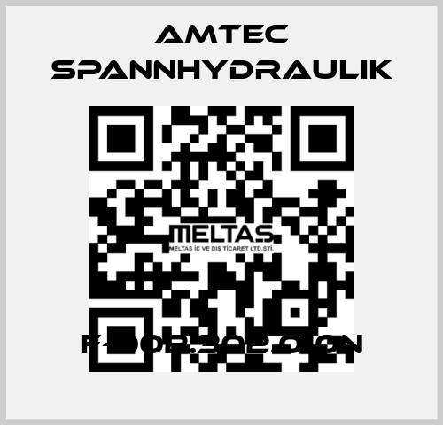 F-002.302.010N Amtec Spannhydraulik