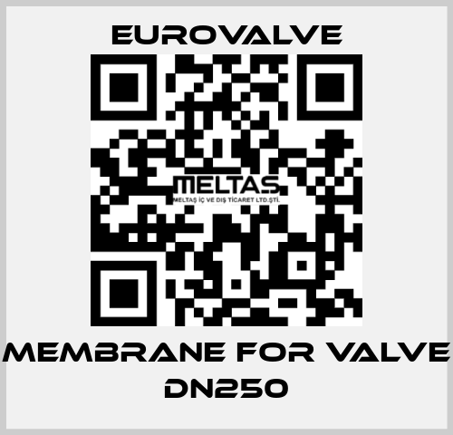membrane for valve DN250 Eurovalve