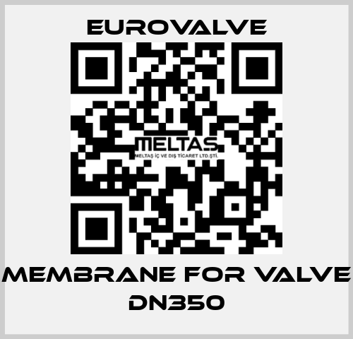 membrane for valve DN350 Eurovalve