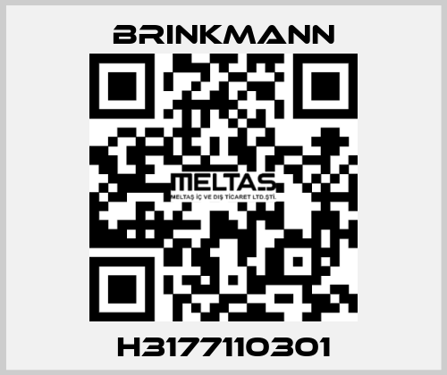 H3177110301 Brinkmann