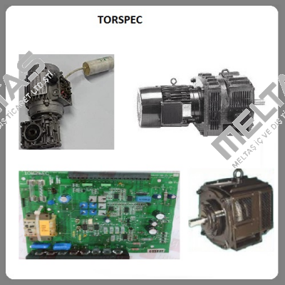 6121.0672-04 TORSPEC