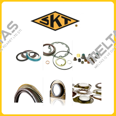 412381-V SKT