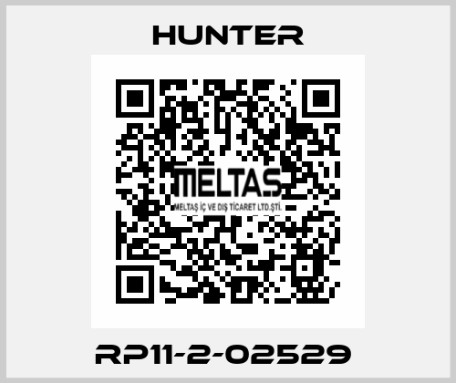 RP11-2-02529  Hunter