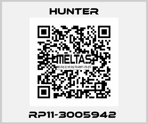 RP11-3005942  Hunter