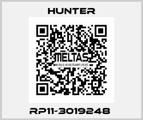 RP11-3019248  Hunter