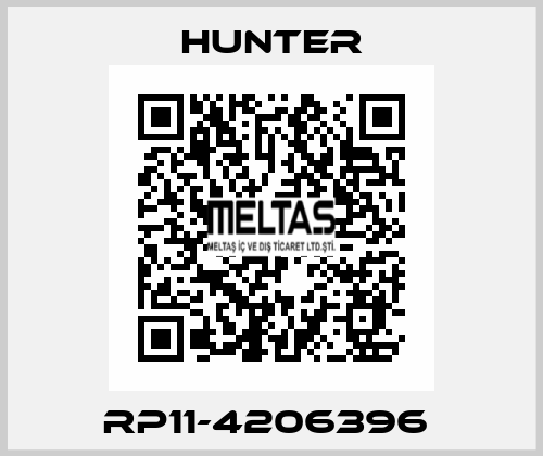 RP11-4206396  Hunter