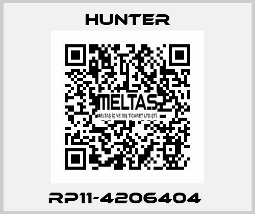 RP11-4206404  Hunter