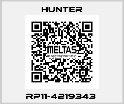 RP11-4219343  Hunter