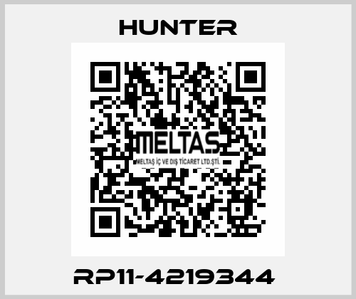 RP11-4219344  Hunter