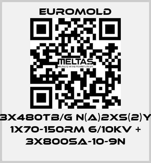 3x480TB/G N(A)2XS(2)Y 1X70-150RM 6/10KV + 3x800SA-10-9N EUROMOLD