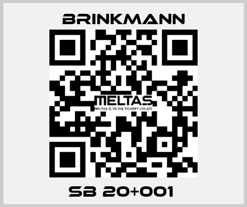 SB 20+001  Brinkmann
