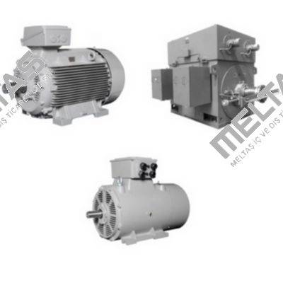 14BG223-2AA  45 KW, 3000 N  400/690 VOLT, 50 HZ ,IP 55 Lammers
